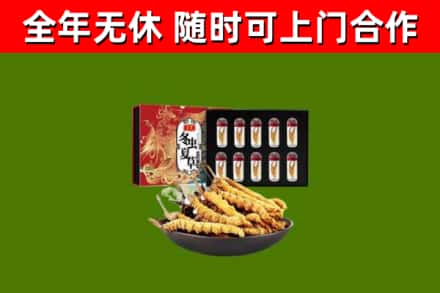 平鲁回收冬虫夏草价格