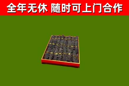 平鲁回收海参